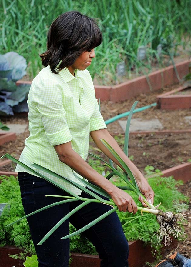 michelle obama