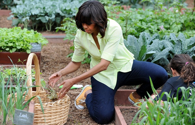 michelle obama