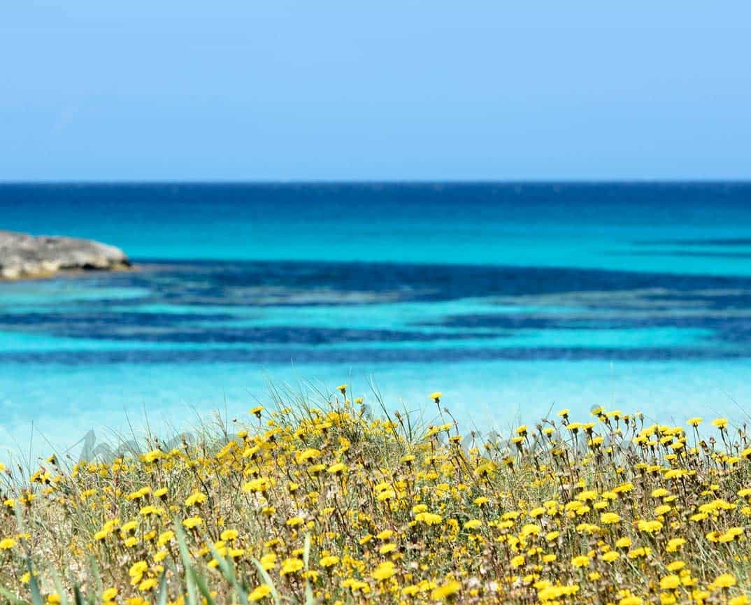 Ses Illetes, Formentera (Islas Baleares)