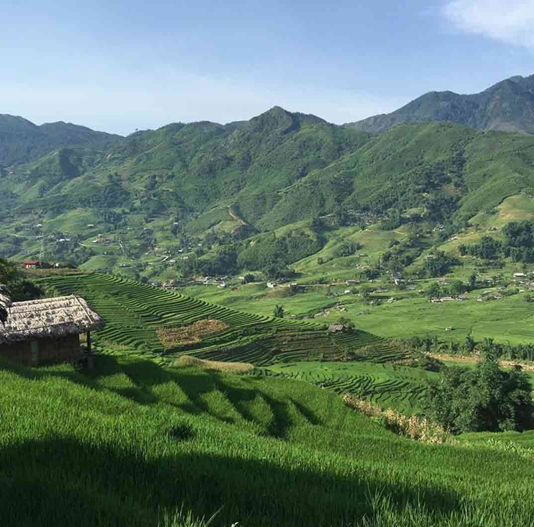 Terrazas de arroz en Sapa