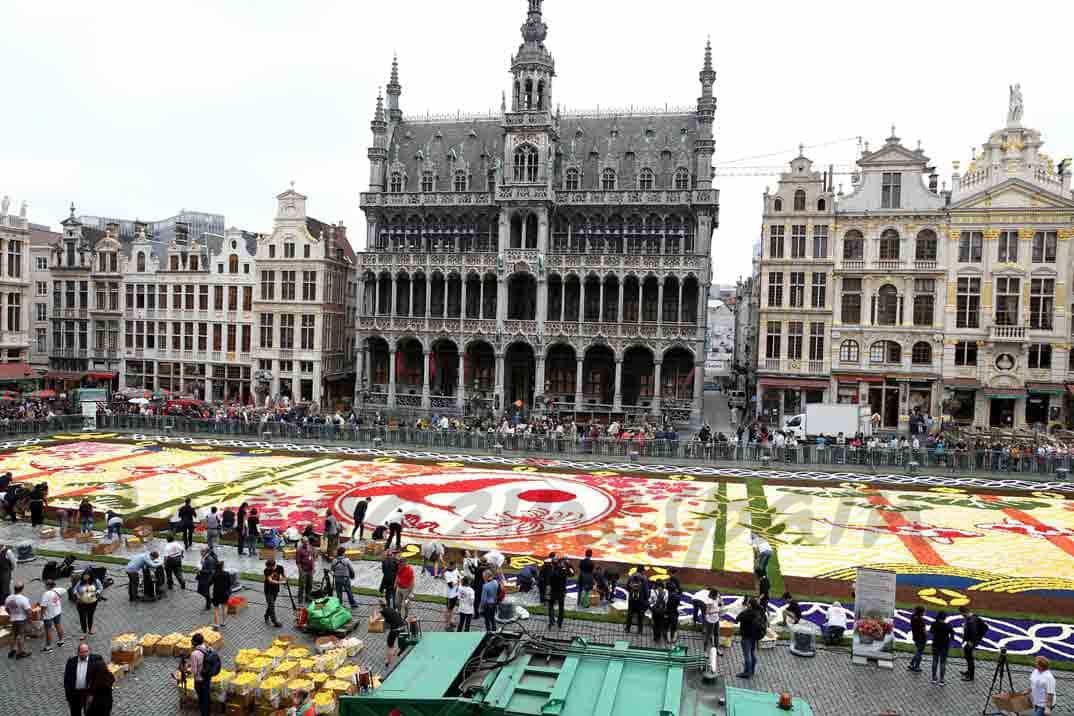 alfombra-de-flores-en-bruselas