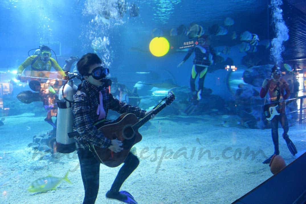 Concierto bajo el mar