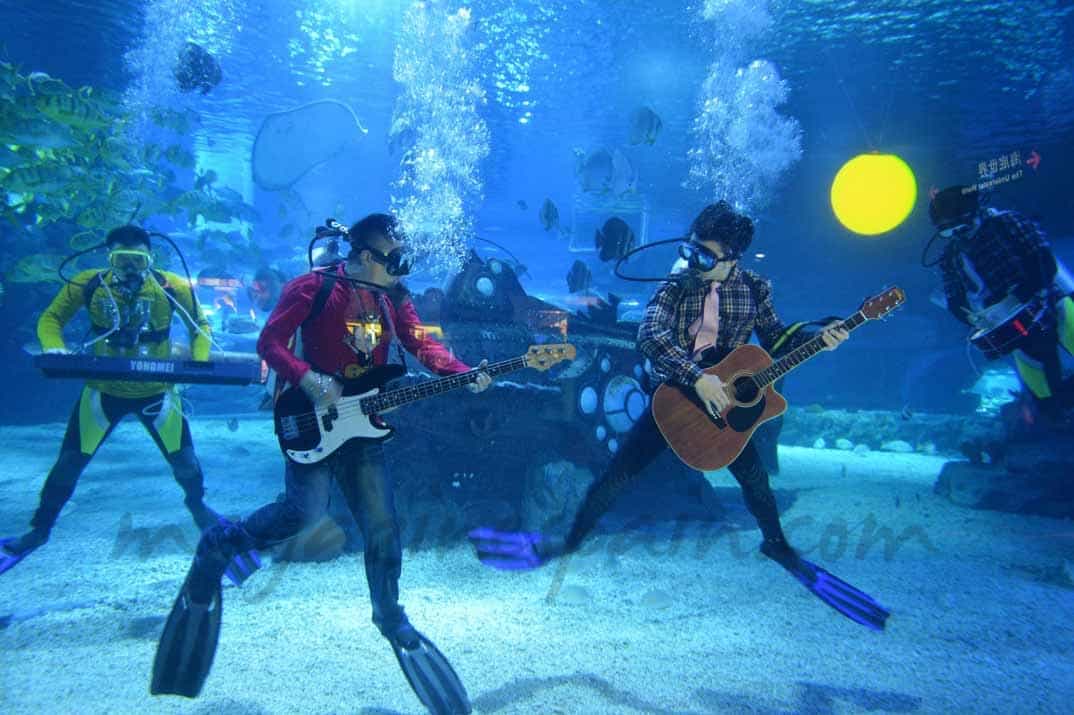 Concierto bajo el mar
