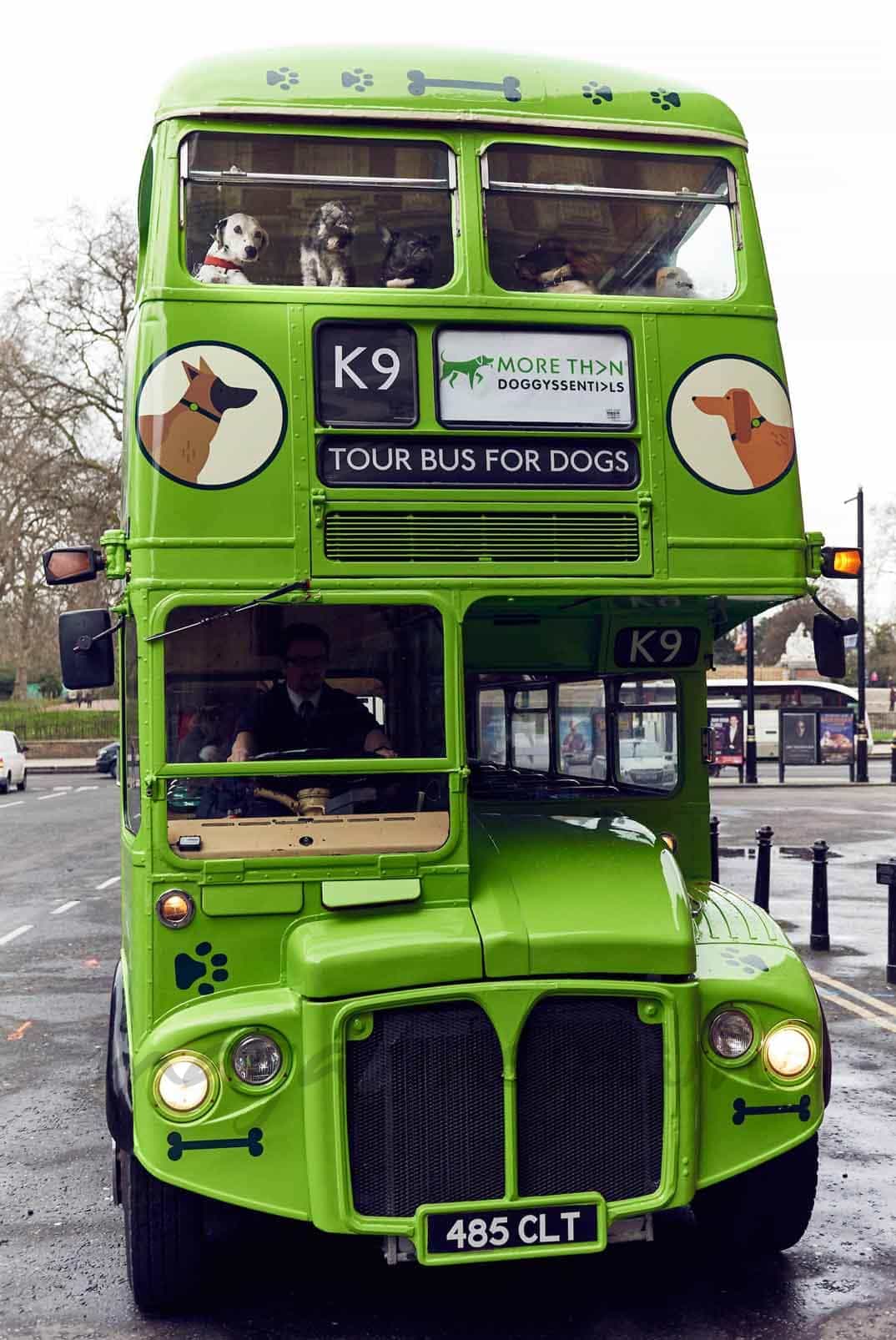 primer autobus para perros del mundo