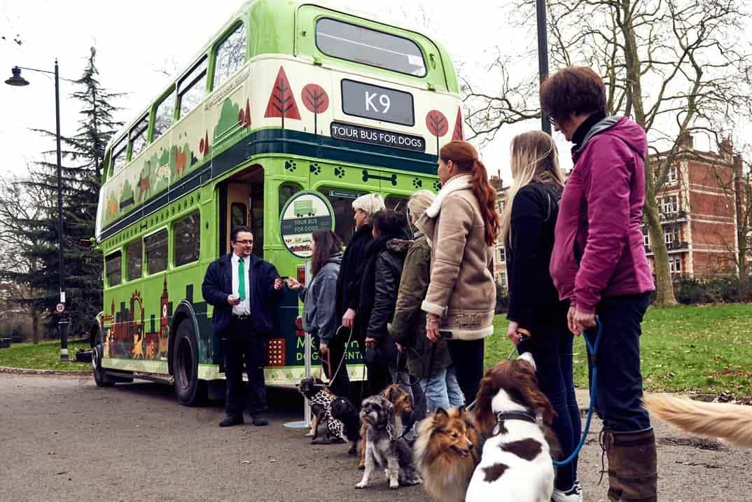 primer autobus para perros del mundo