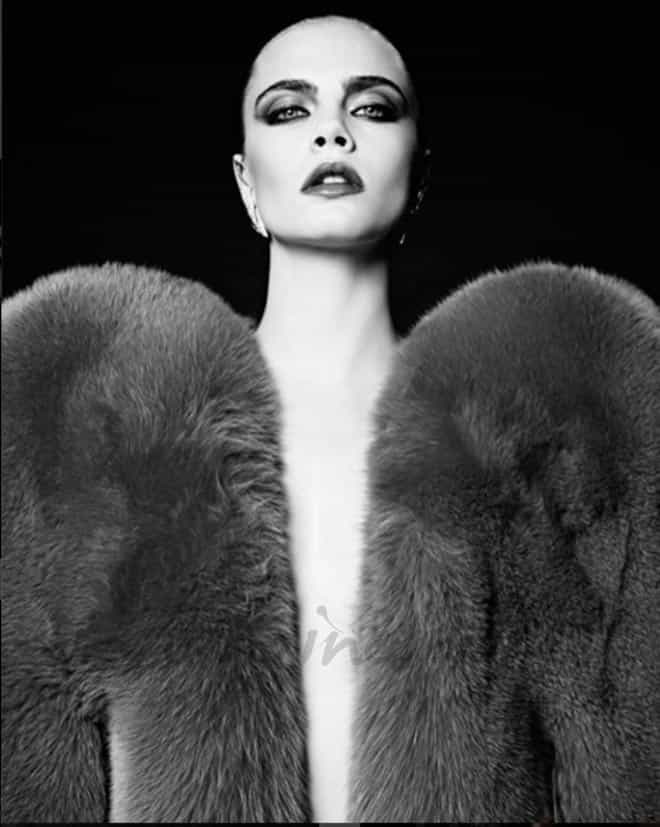 cara delevingne para saint laurent