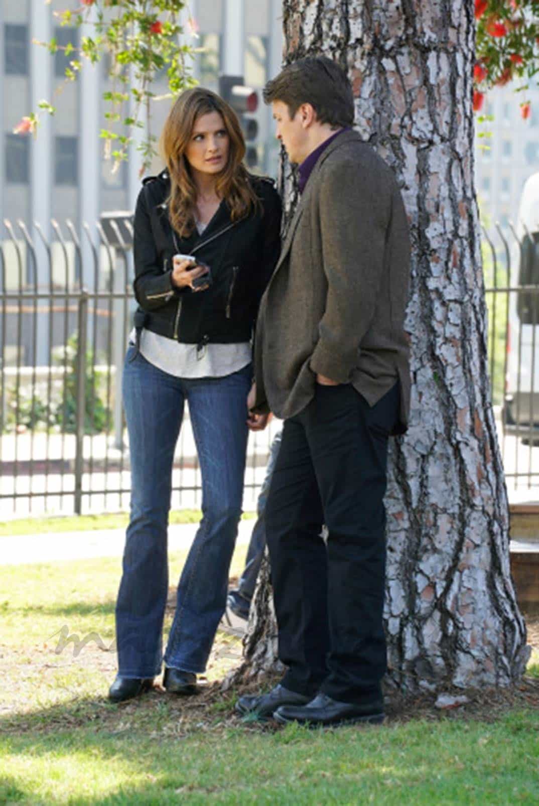 Stana Katic y Nathan Fillion - Castle