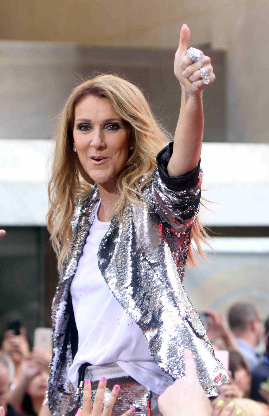 concierto celine dion