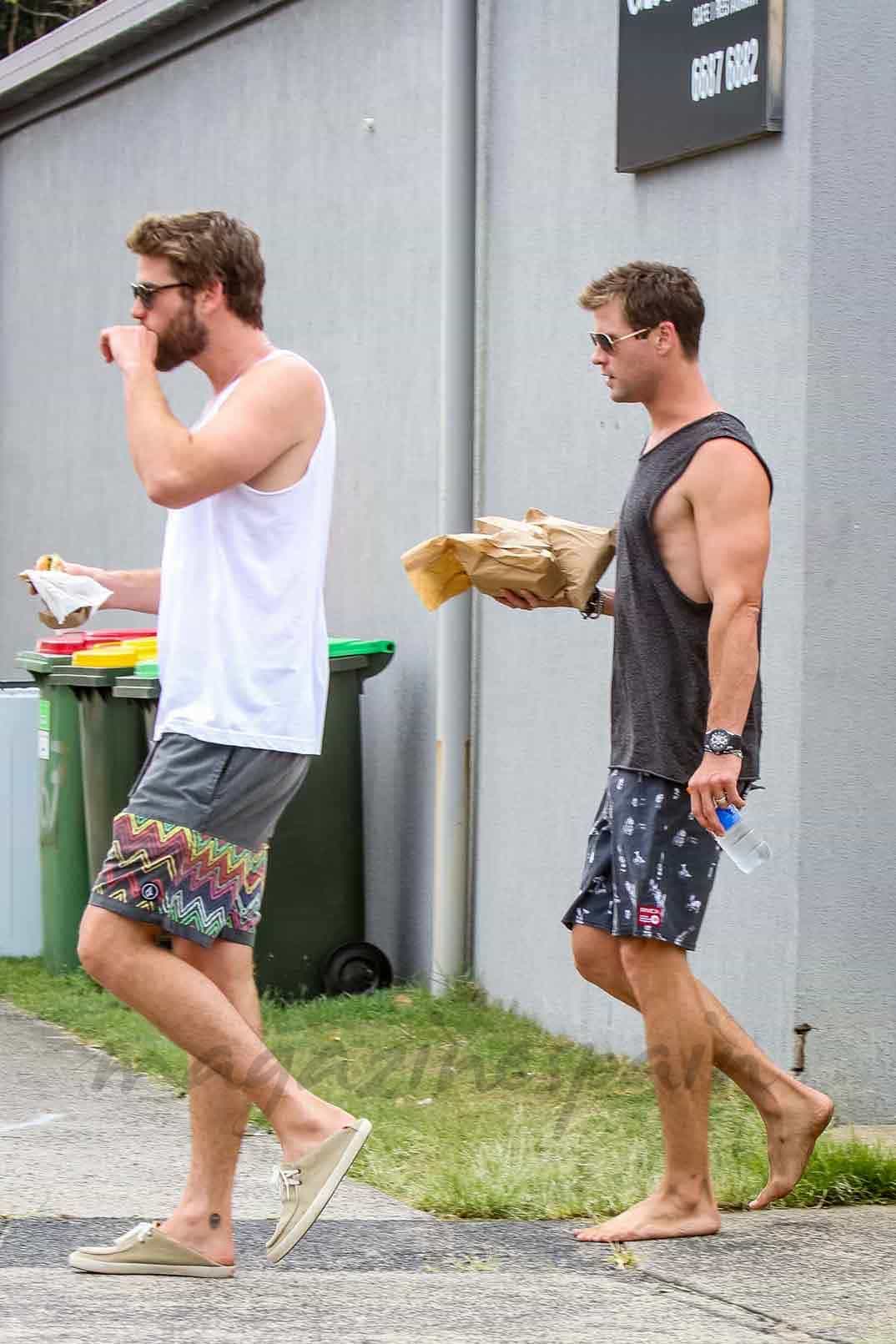 chris-y-liam-hemsworth vacaciones en australia