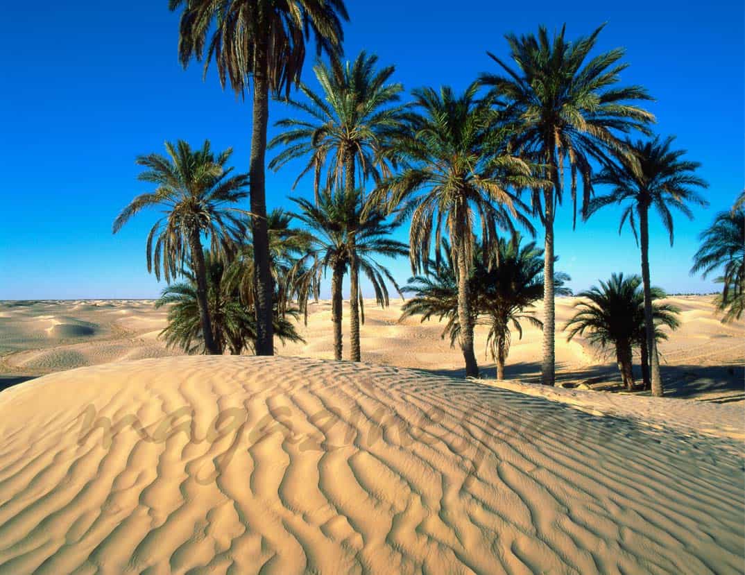 desierto-tunez-ok