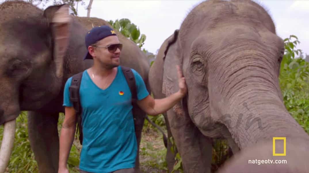 Leonardo DiCaprio en su documental para National Geographic, “Antes de la inundación”