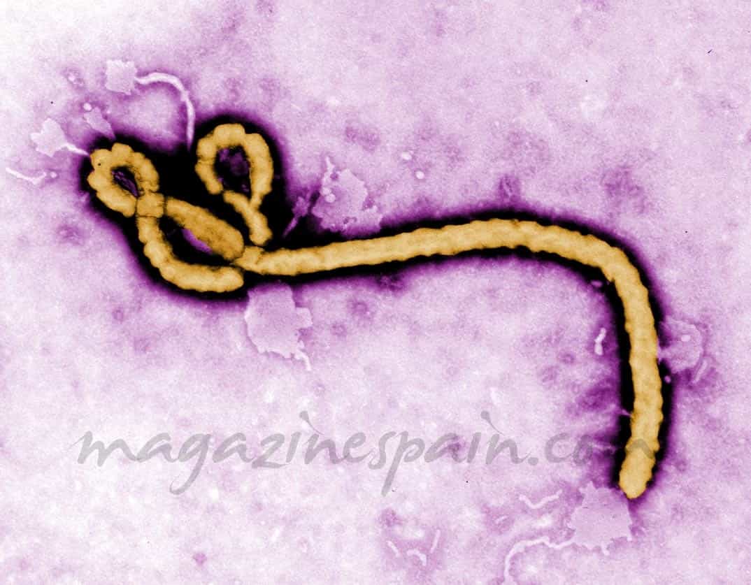 ebola-5