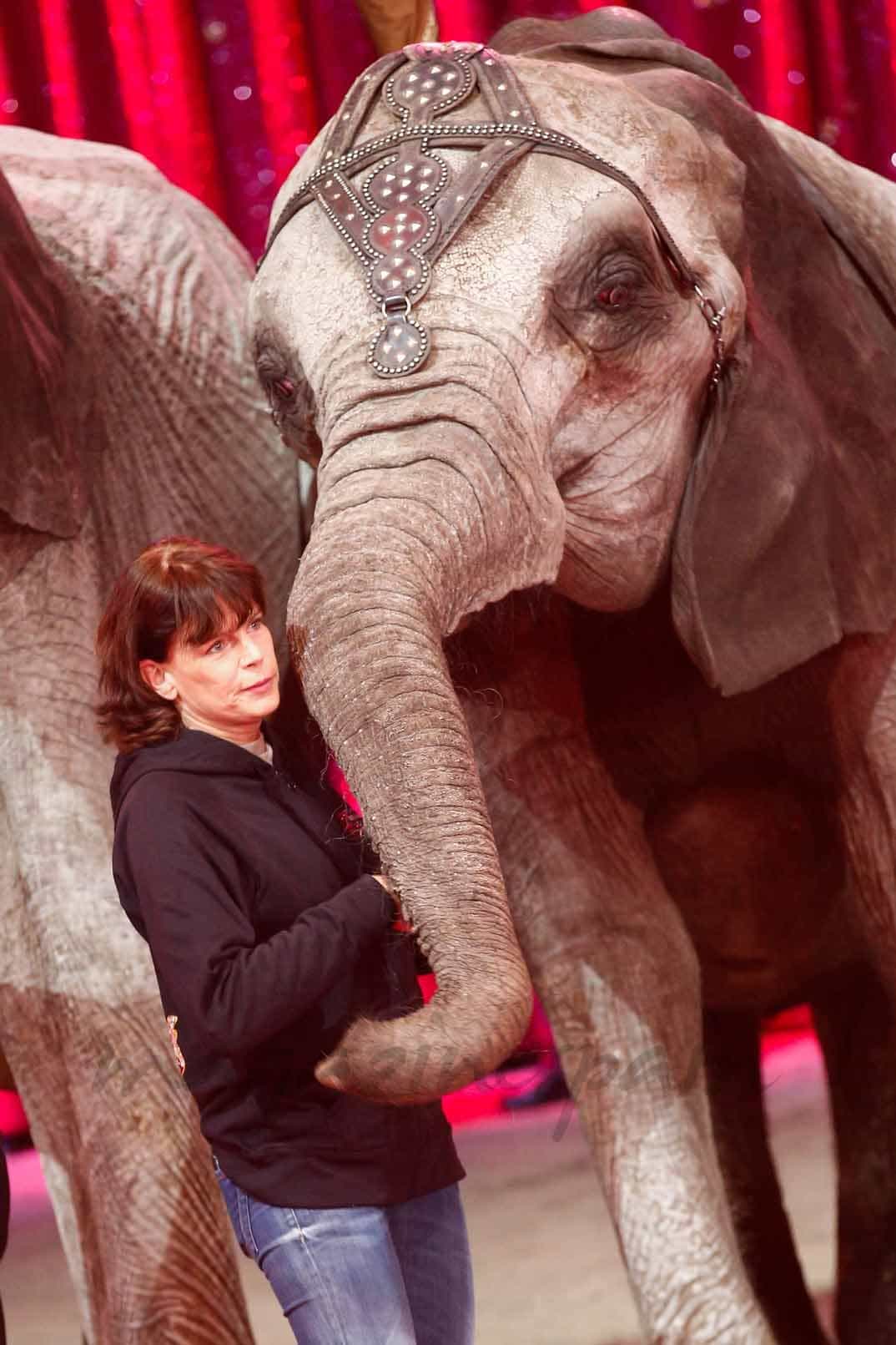 festival-internacional-del-circo-en-monaco