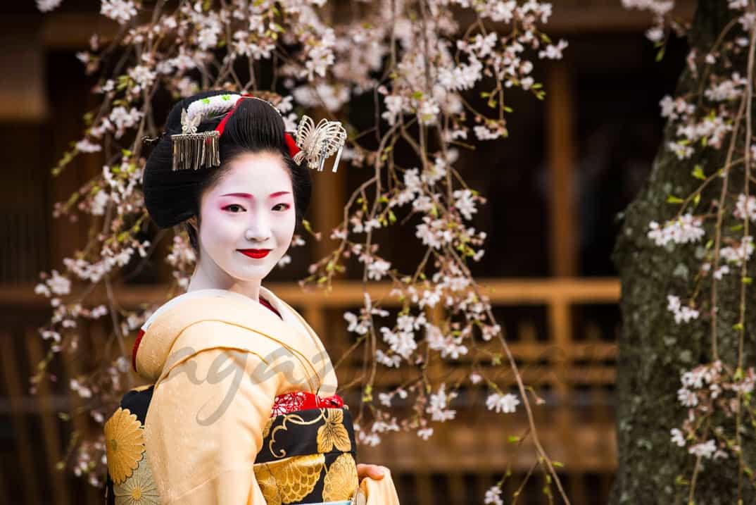 Pies de geishas