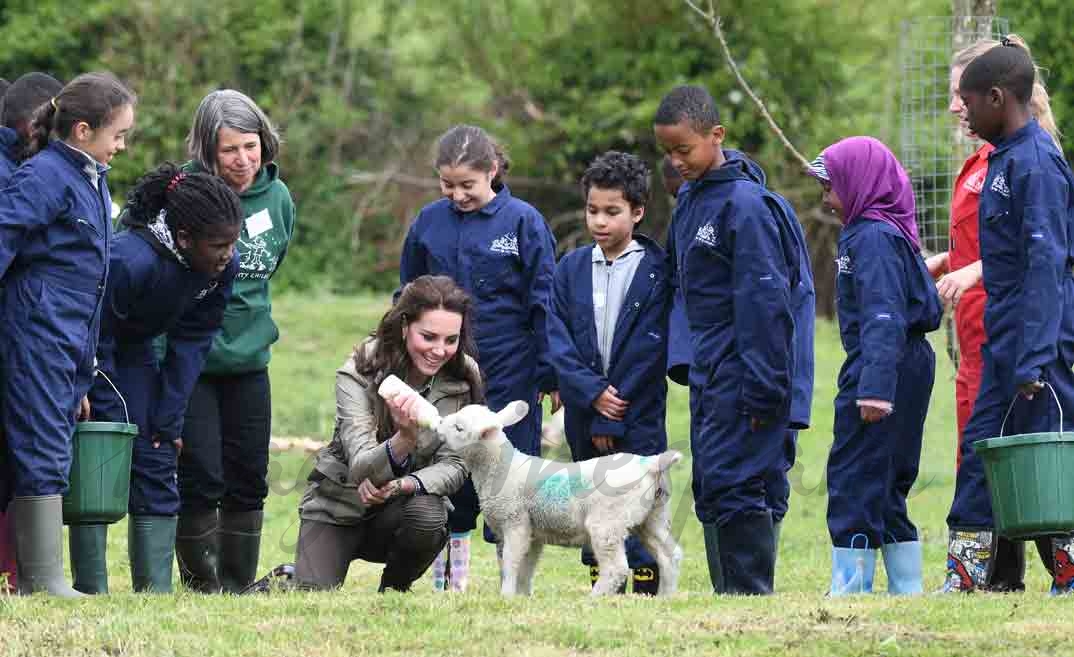 kate middleton granjera por un dia