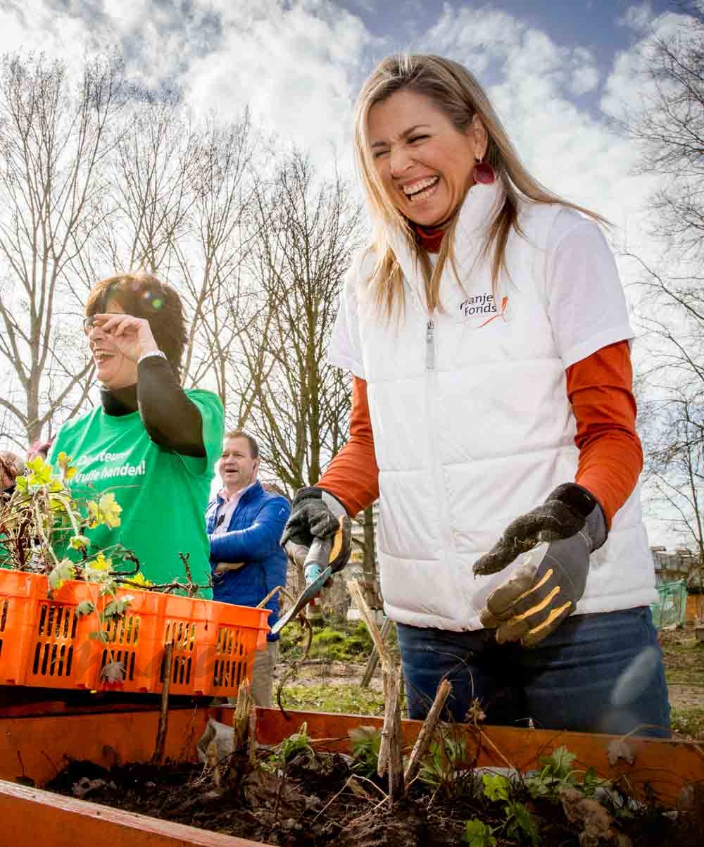 maxima de holanda una reina diferente