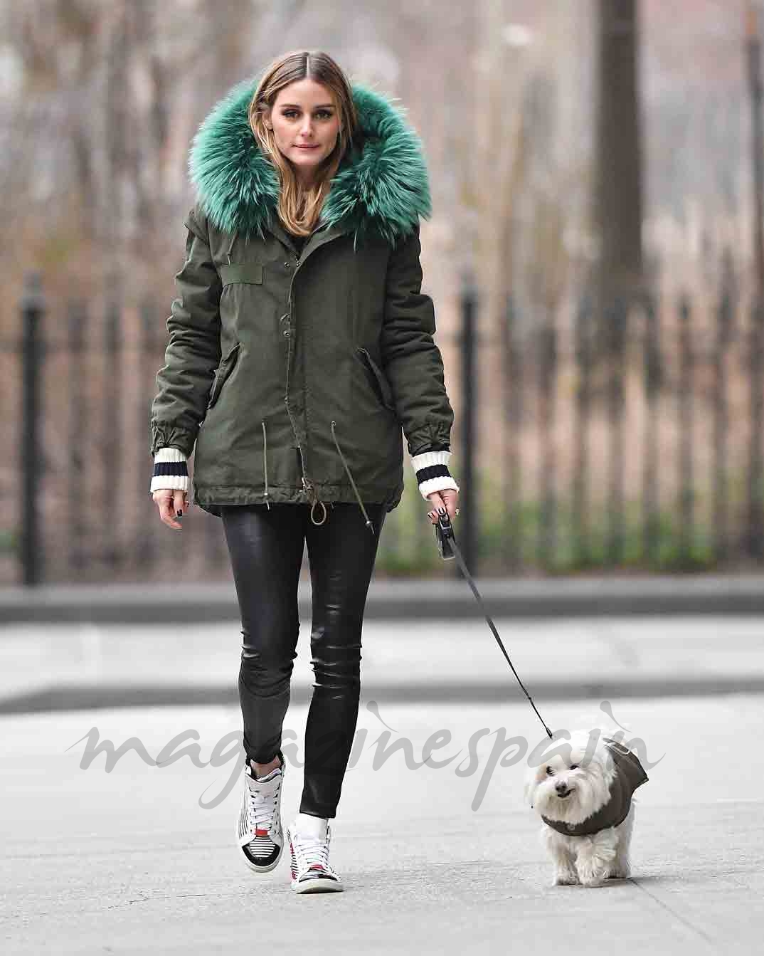 olivia palermo pasea a su perro