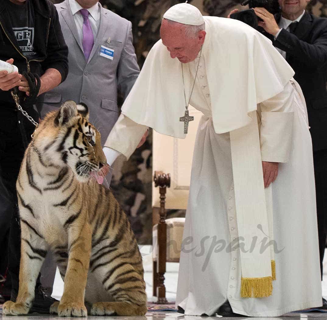 susto del papa francisco en el circo