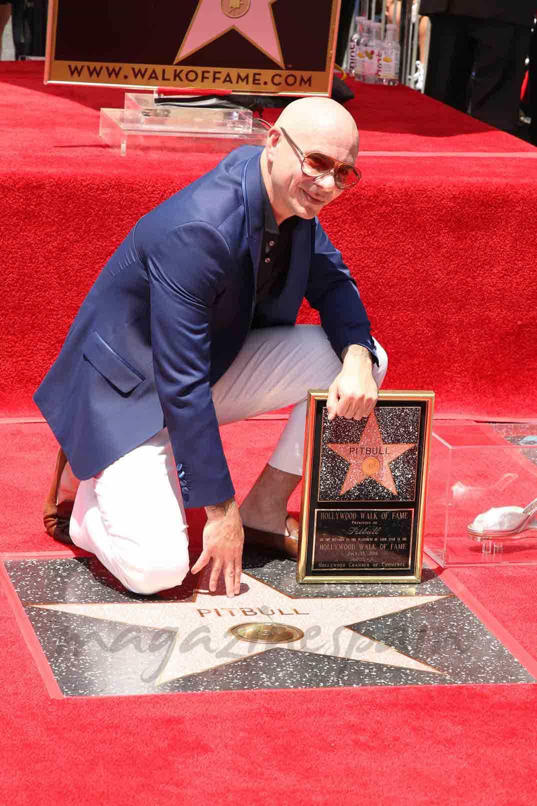 pitbull ya tiene su estrella en el paseo de la fama