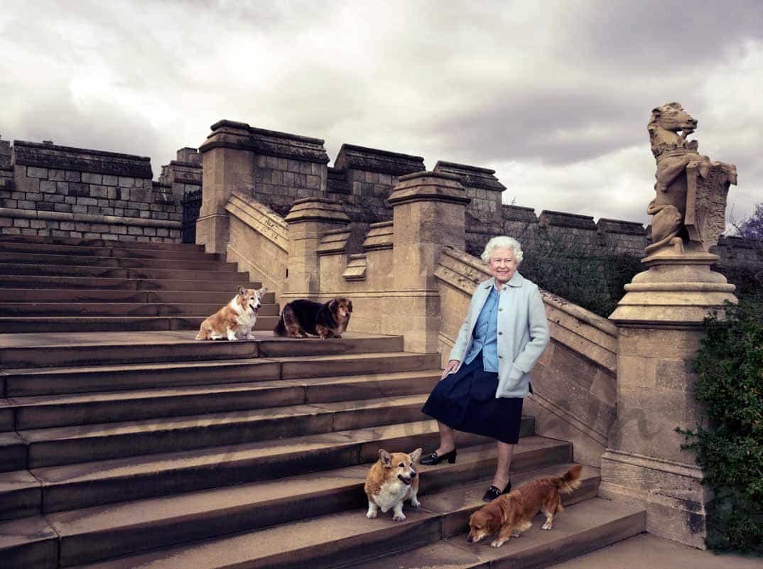 reina, reina isabel ii, perros