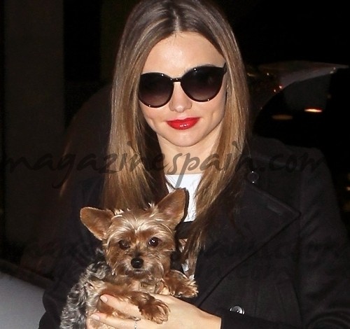 Miranda Kerr y su perrito Yorkshire