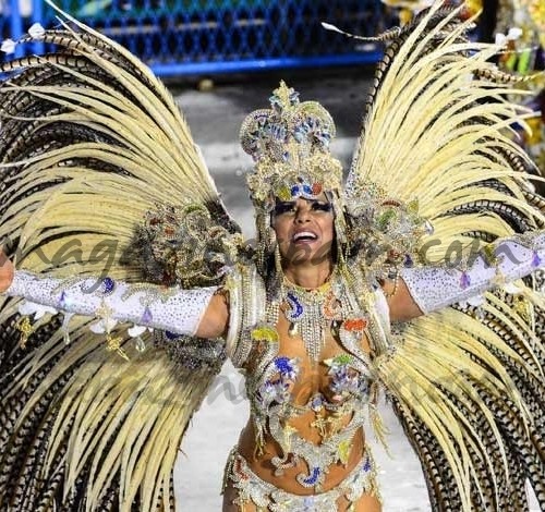 Carnaval Rio 2013