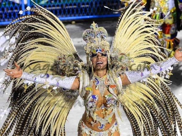 Carnaval Rio 2013