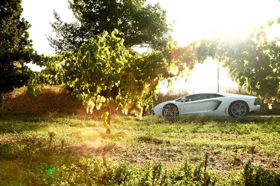 Lamborghini en Maremma