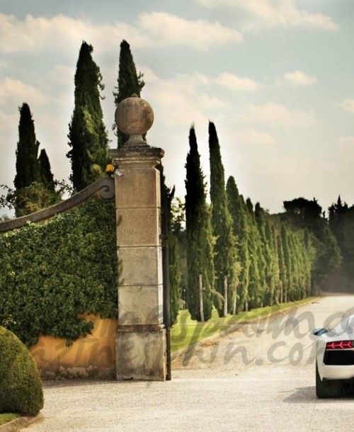 Lamborghini celebra su 50 aniversario