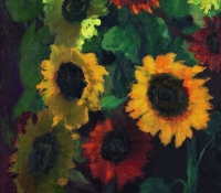 noldegirasoles