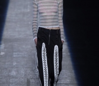 alexander wang