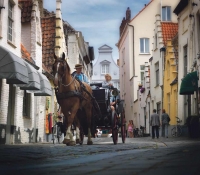 Paseo en coche de coche de caballos por sus tipicas calles.