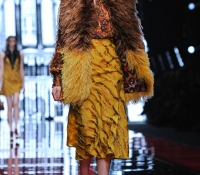 roberto cavalli