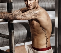 david beckham 2014