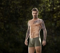 david beckham 2013