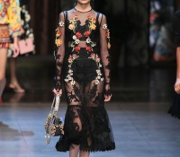 dolce y gabbana