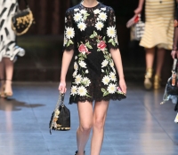 dolce y gabbana