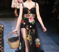 dolce y gabbana