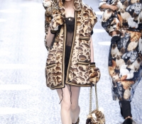 dolce gabbana22