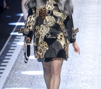 dolce gabbana4