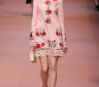 dolce y gabbana