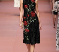 dolce y gabbana