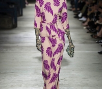 dries van noten