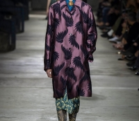 dries van noten