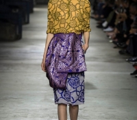 dries van noten