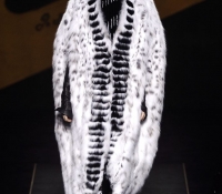paris fashion week 2015 fendi alta costura