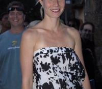 gwyneth paltrow 2008