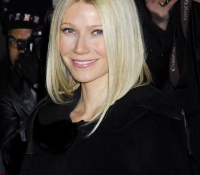 gwyneth paltrow 2009