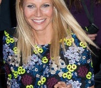 gwyneth paltrow 2013