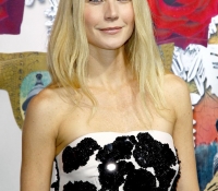 gwyneth paltrow 2013